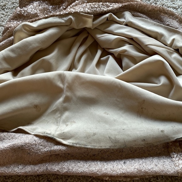 Sorrella Vita size 12 champagne colored sequin floor length gown - Picture 11 of 12